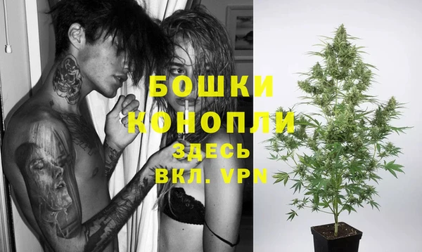 spice Абинск