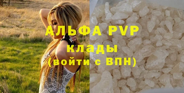 дурь Пересвет